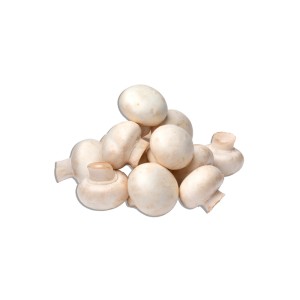 Champignons (klein)