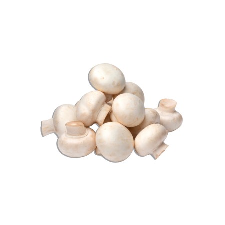 Champignons (klein)