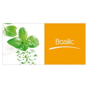 Basilikum (250 g)