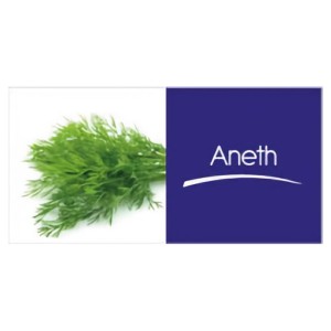 Dill (250 g)