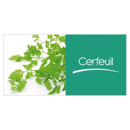 Cerfeuil (250gr)