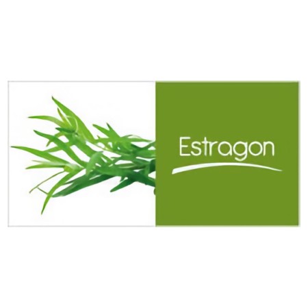 Estragon (250gr)