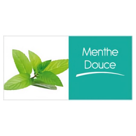 Menthe (250gr)