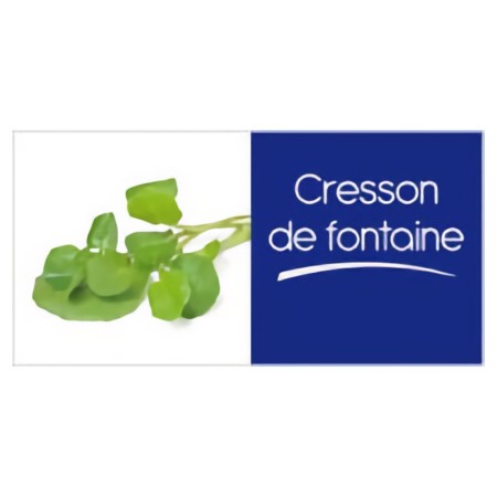 Cresson (250gr)