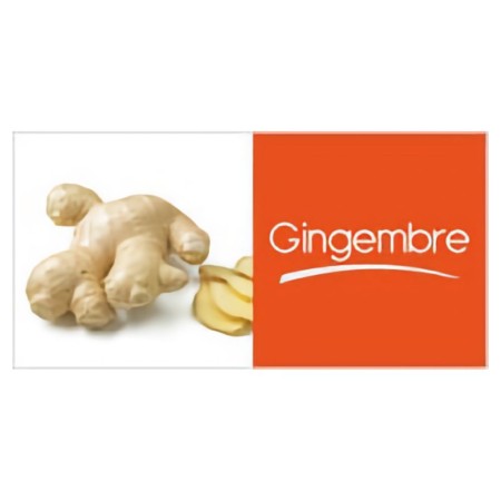 Gingembre mini-tablettes (250gr)