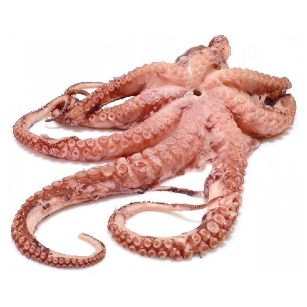 Poulpe, PN (env.1,kg - 2 kg) PV