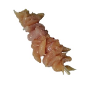 FRANCE Brochettes de poulet (poitrine)140/160gr