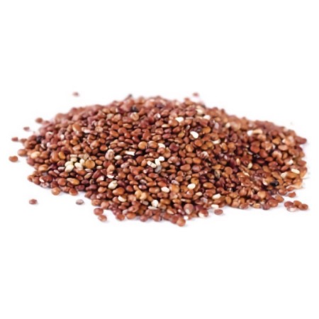 Quinoa Rouge précuit