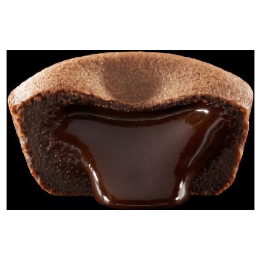 Mini Fondant au chocolat (40x36 gr)