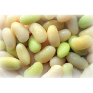 Halbtrockene Mogettes aus der Vendée (Bohnen)