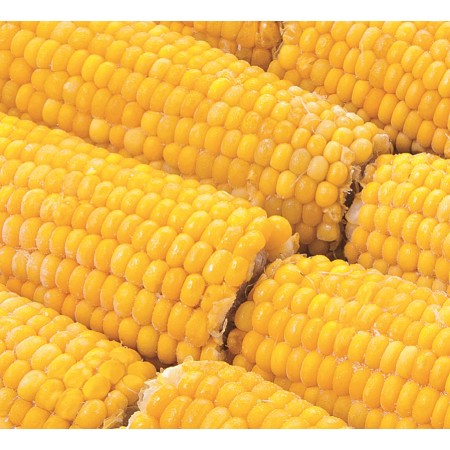 Maiskolben 250 g