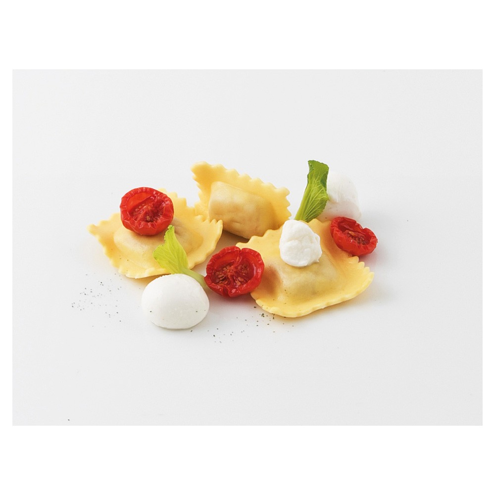 Caterline Ravioli mit Tomaten und Mozzarella PS