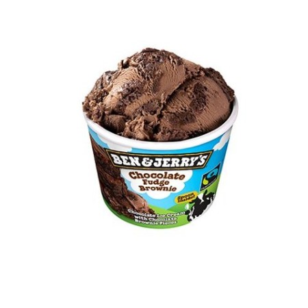 BEN&JERRY'S Fudge Brownie (100 ml)