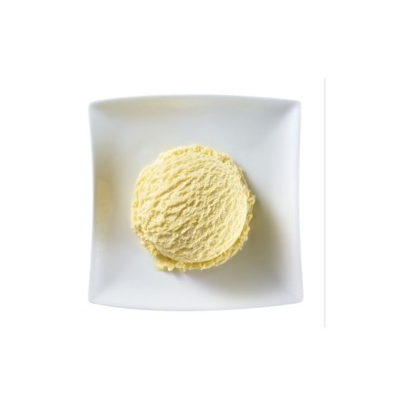 LUSSO Plaisir Glacé Vanille (1 x 5 l) PS