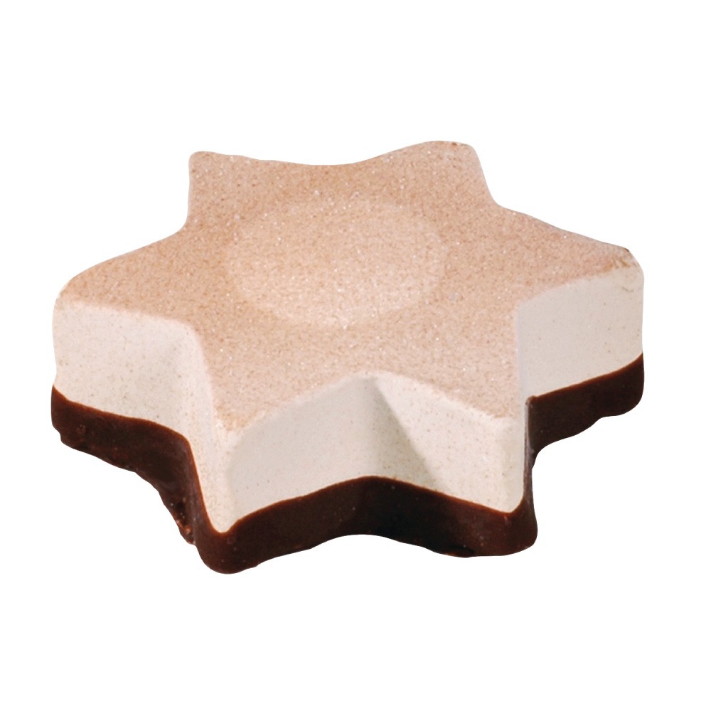 Etoiles cannelle glacées (Noël) (75 ml)