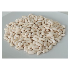 Haricot blanc BIO, précuit