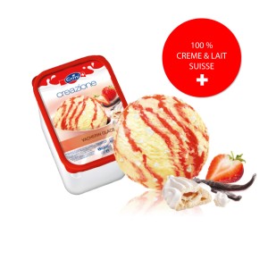 Favorito Vacherin Glacé (4 l) PS