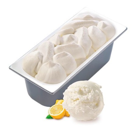 CARTE D'OR Gelateria Sorbet Citron (1 x 5.5 lt) PS