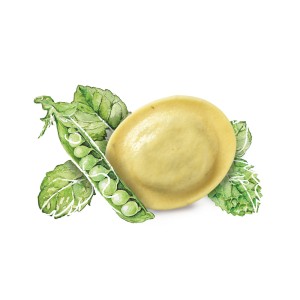 Rondelli Pois-Menthe PS