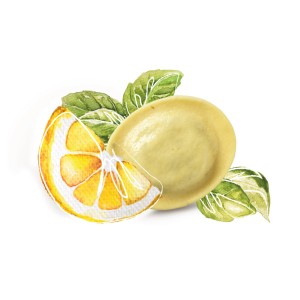 Rondelli Limone & Basilico PS