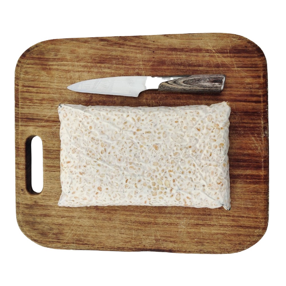 Tempeh Kichererbsen BIO im BLOCK 1 kg 