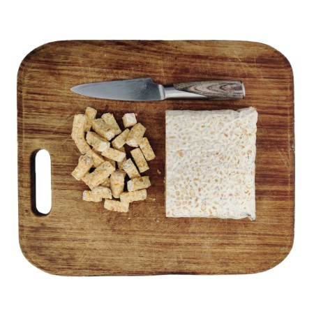Tempeh Kichererbsen BIO im BLOCK 1 kg 