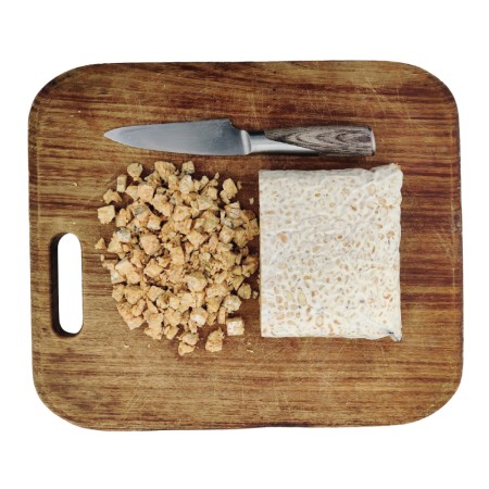 Tempeh Kichererbsen BIO im BLOCK 1 kg 
