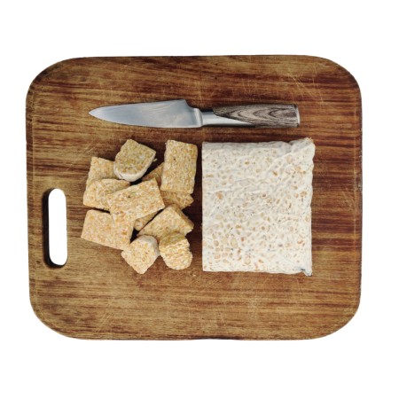 Tempeh Kichererbsen BIO im BLOCK 1 kg 