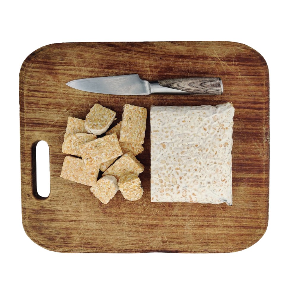 Tempeh Kichererbsen BIO im BLOCK 1 kg 
