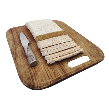 Tempeh Kichererbsen BIO im BLOCK 1 kg 