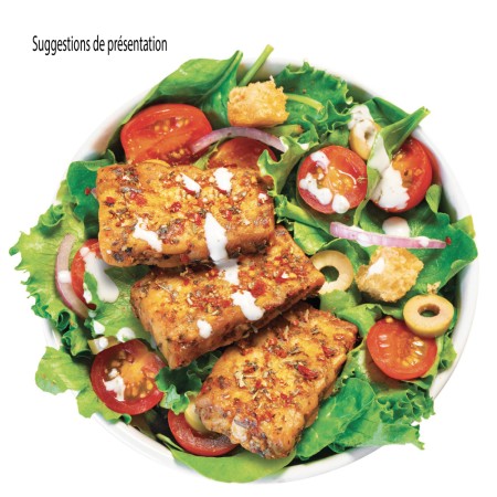 Tempeh Kichererbsen BIO im BLOCK 1 kg 