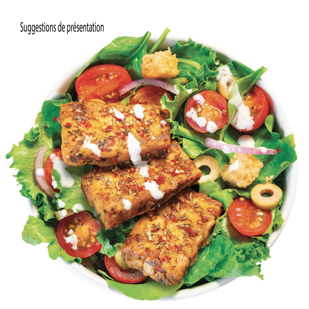 Tempeh Kichererbsen BIO im BLOCK 1 kg 