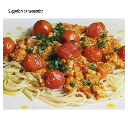 Tempeh Kichererbsen BIO im BLOCK 1 kg 