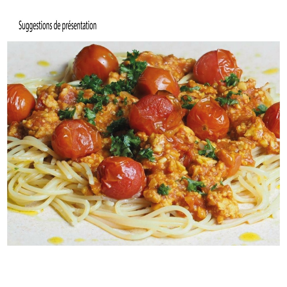 Tempeh Kichererbsen BIO im BLOCK 1 kg 