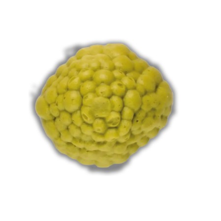 Pürierte Erbsen nach franz. Art IDDSI (540 g)
