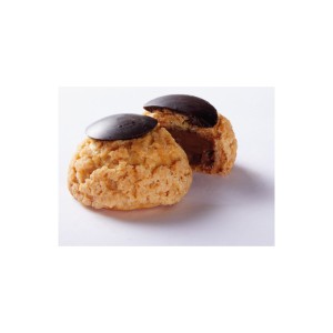 Mini-Schokoladen "chou" (48 x 18 g)