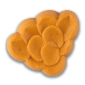 Courge à la provençale mixé IDDSI (540 gr)
