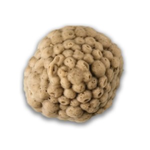 Champignons à la Grecque mixé IDDS (540 gr)