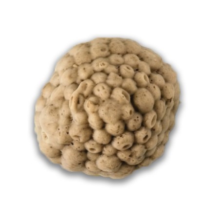 Champignons à la Grecque mixé IDDS (540 gr)
