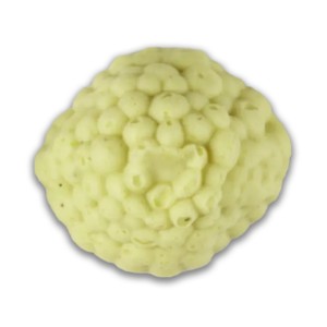 Gratin de légumes mixé IDDSI (540 gr)