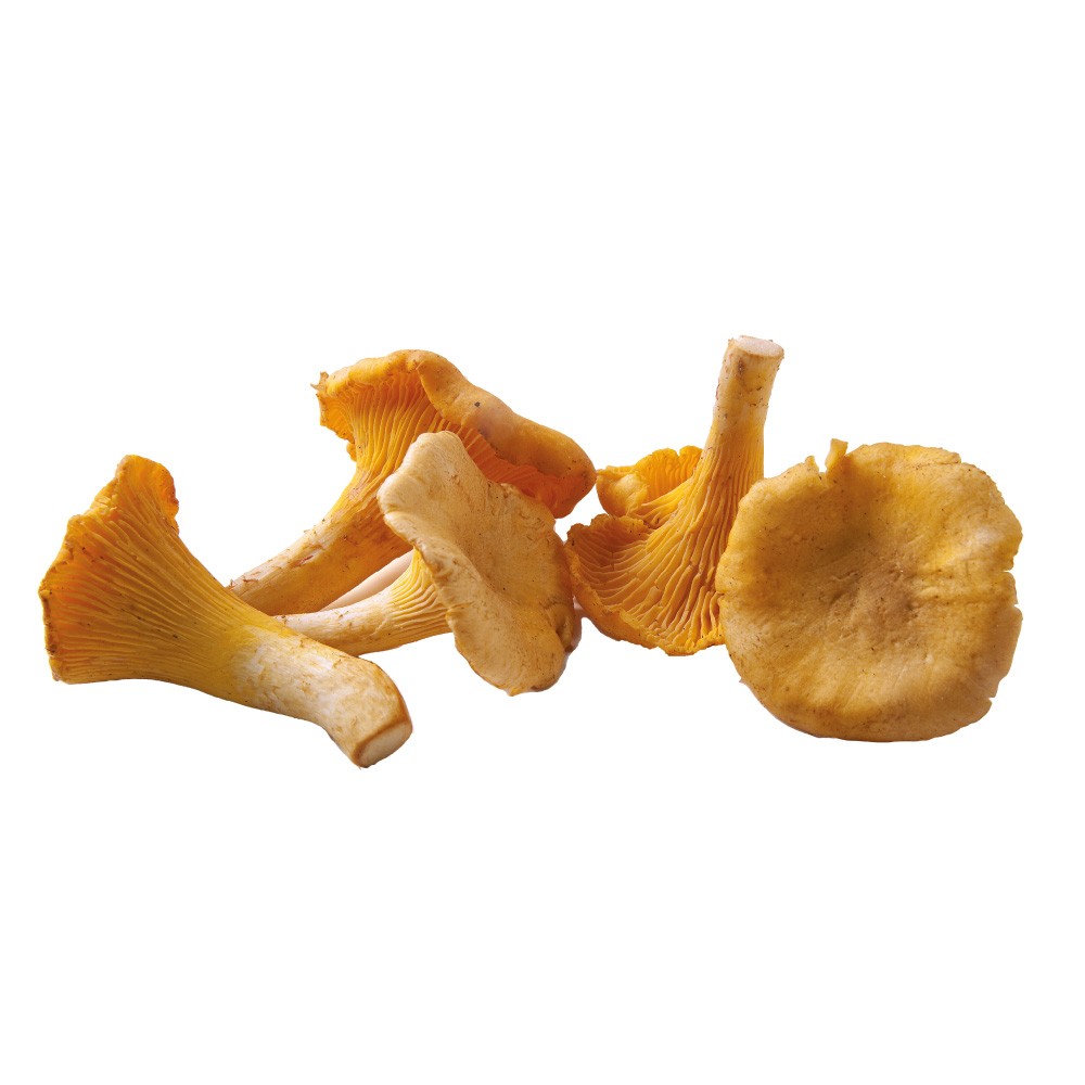 Chanterelles (petites)