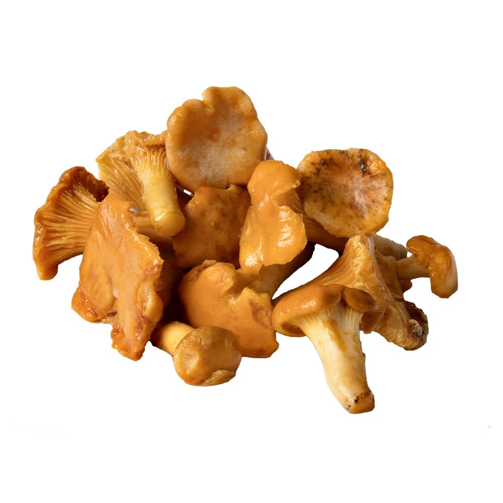 Pfifferlinge