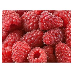 Framboises IQF
