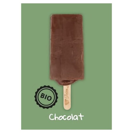 Paleta Loca Glace Chocolat s/lactose (24x80 ml)PS