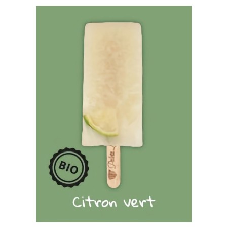Paleta Loca Glace Citron Vert (24x80 ml) PBS