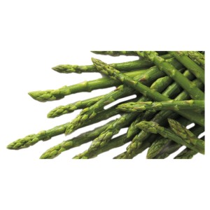 Asperges vertes 16-17 cm