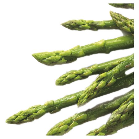 ITALIEN Grüner Spargel 17 cm 