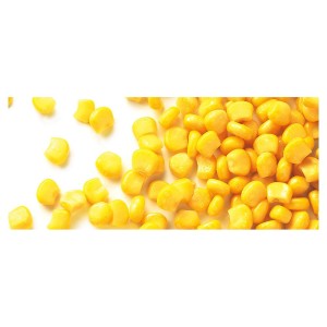 BIO Maïs en grains