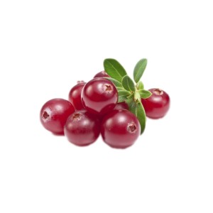 Preiselbeeren