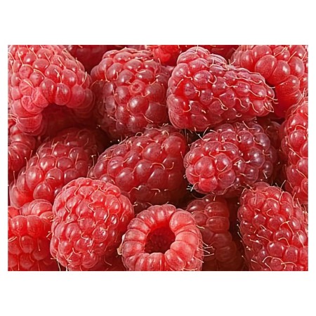 Himbeeren extra